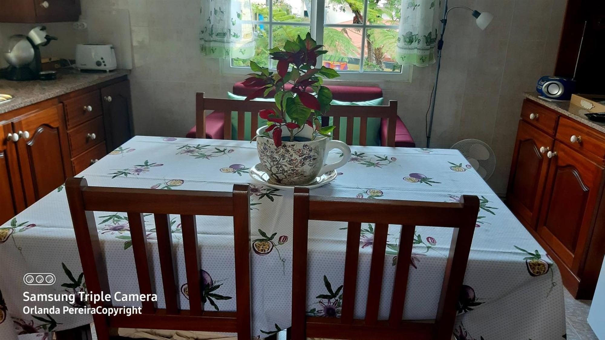 Terra Cha Cottage,Feel Home, São Vicente Екстериор снимка