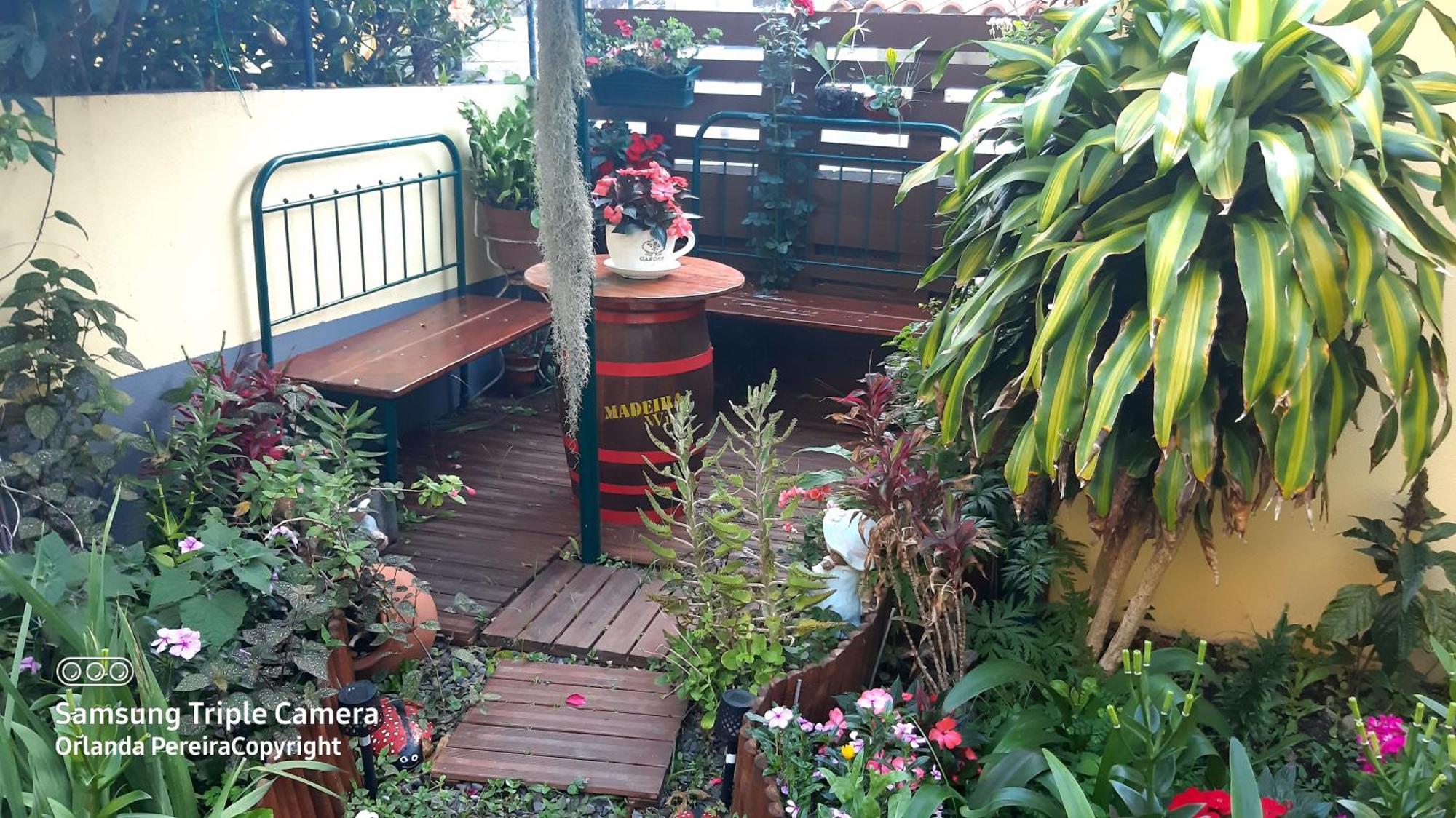 Terra Cha Cottage,Feel Home, São Vicente Екстериор снимка