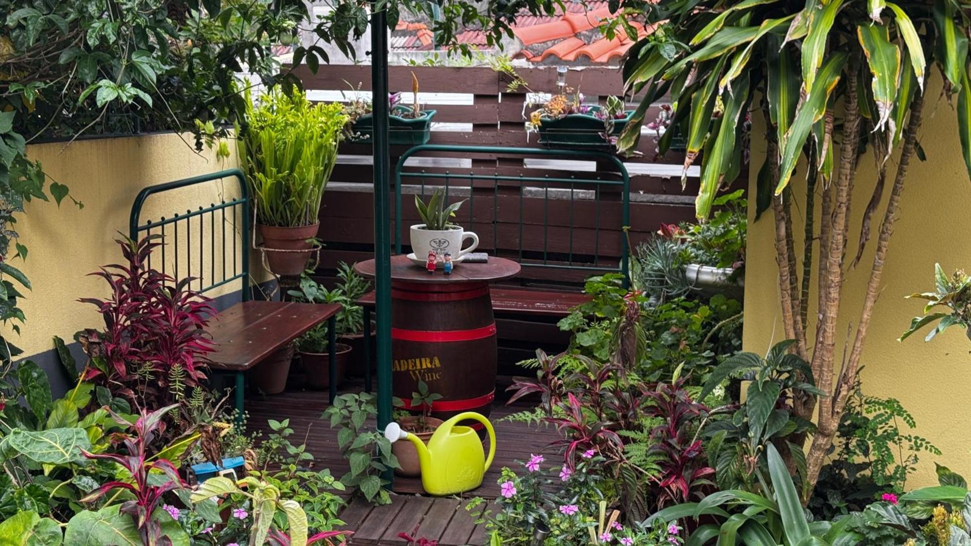 Terra Cha Cottage,Feel Home, São Vicente Екстериор снимка